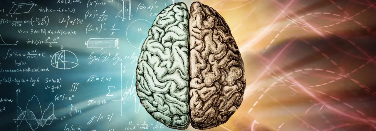 Master Barnum Statements For Stronger Emotional Connections 62 A Visual Representation Of The Human Brain, Showing The Psychology Behind Barnum Statements And The Forer Effect.