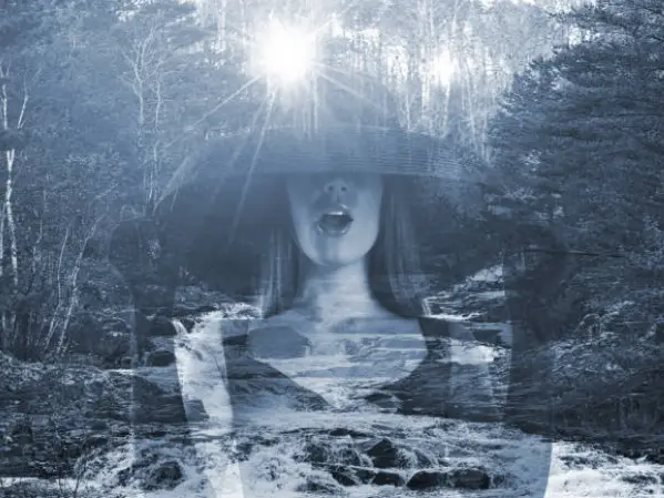 Seductive Storytelling: The Hypnotic Art Of Creating Irresistible Desire 62 Story About A Serene Walk Through A Forest