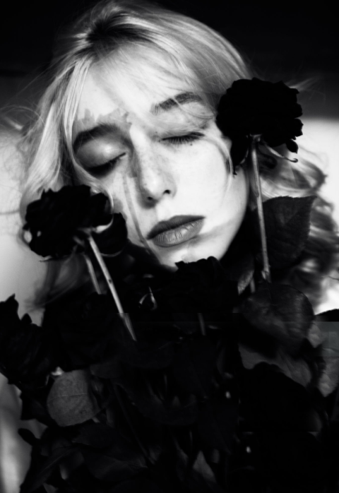 The Dark Rose Pattern: The Forbidden Technique Of Emotional Domination 53 Woman Hypnotized By Dark Rose Sequence